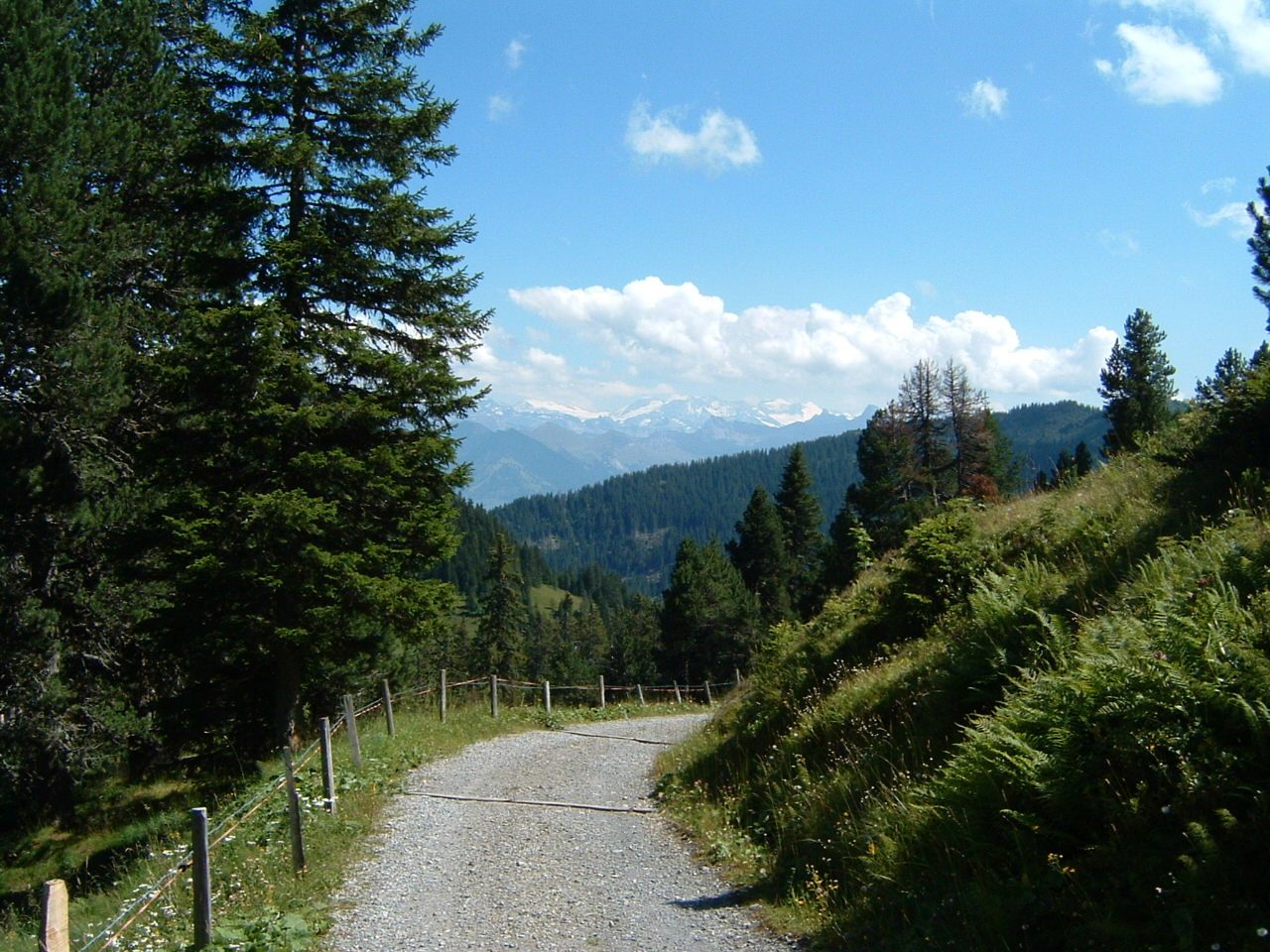 Wanderweg
